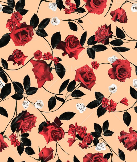 玫瑰花印花华亿平台图片