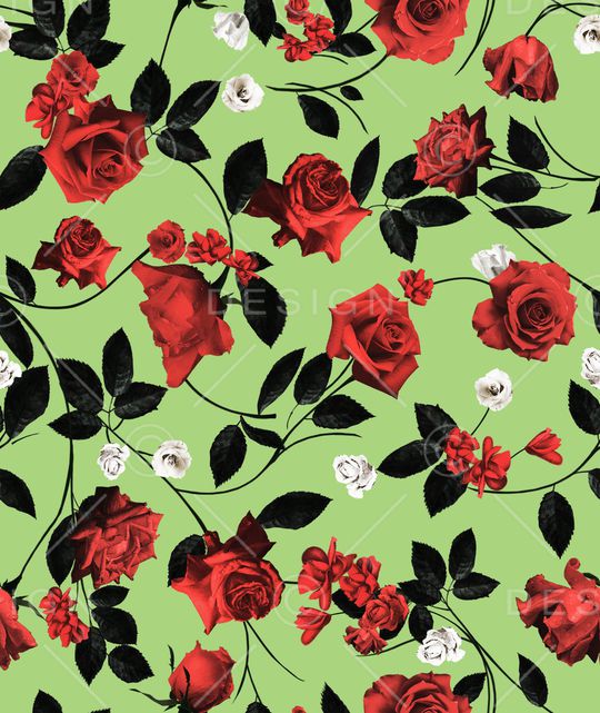 玫瑰花印花华亿平台图片