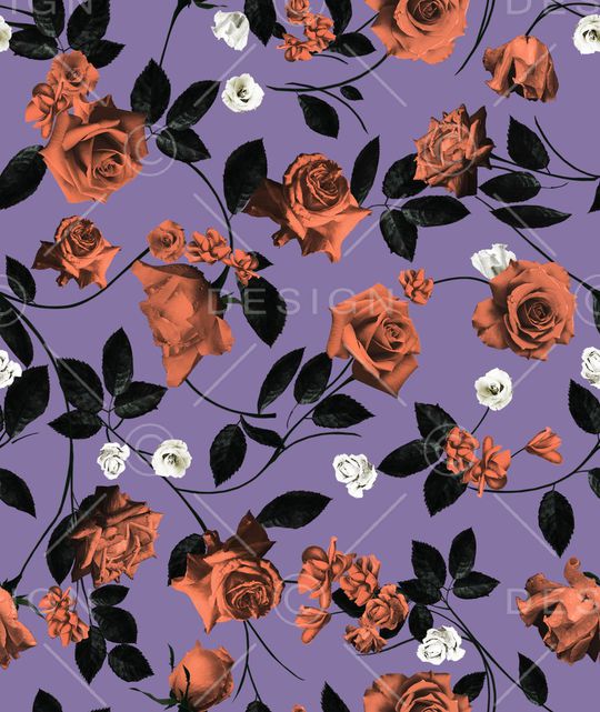 玫瑰花印花华亿平台图片