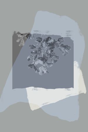 男装印花华亿平台图片