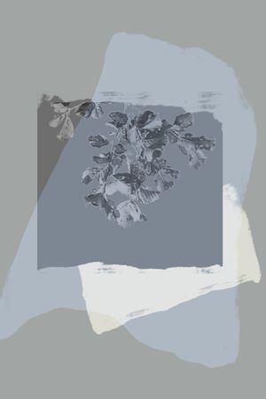 男装印花华亿平台图片