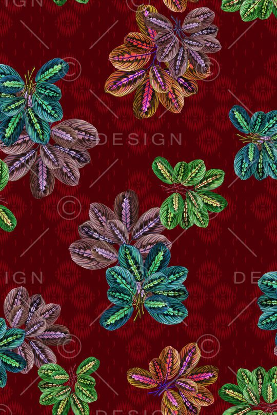 渐变印花华亿平台图片