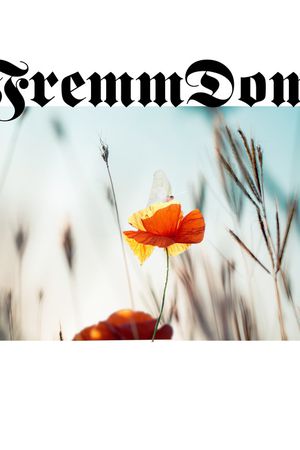 字母印花华亿平台图片