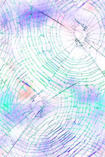 1341686-蜘蛛网03b