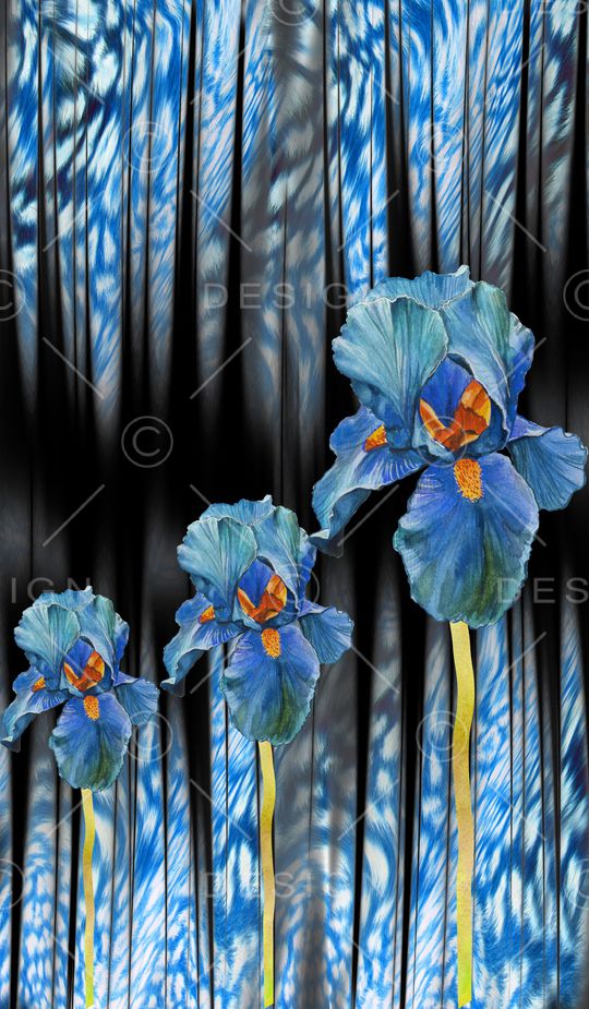 女装定位花印花华亿平台图片