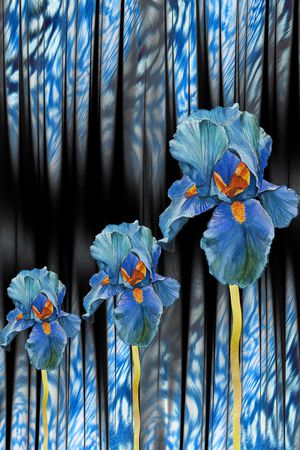 女装定位花印花华亿平台图片