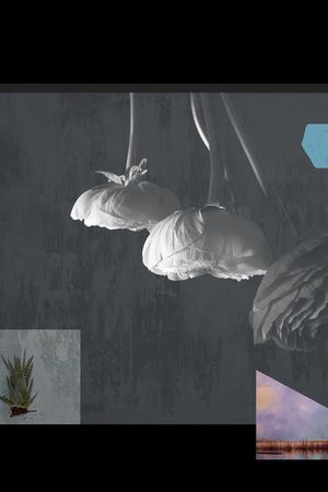 照片花卉印花华亿平台图片