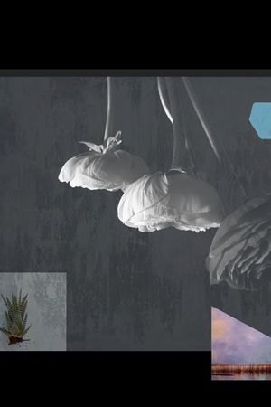 照片花卉印花华亿平台图片