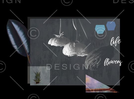 照片花卉印花华亿平台图片