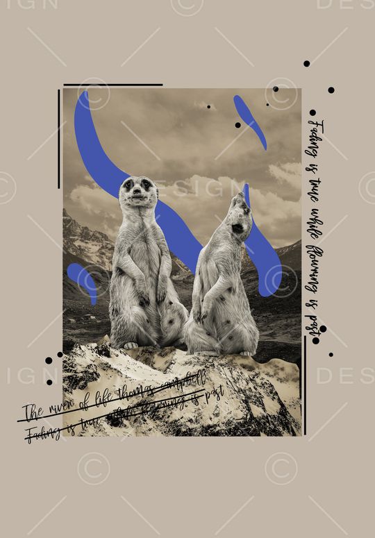 字母印花华亿平台图片