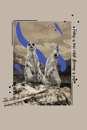 字母印花华亿平台图片