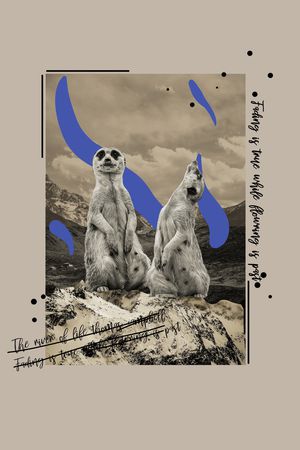 字母印花华亿平台图片