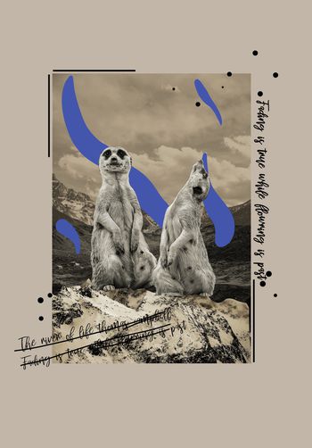 字母印花华亿平台图片