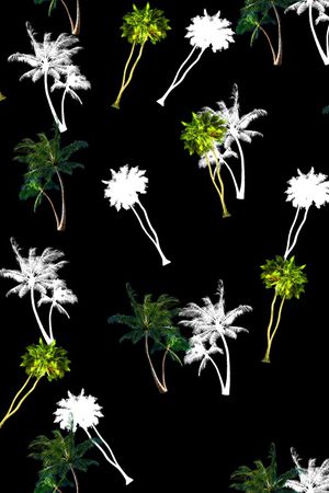 椰子树印花华亿平台图片