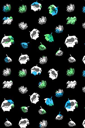 黑底花卉印花华亿平台图片