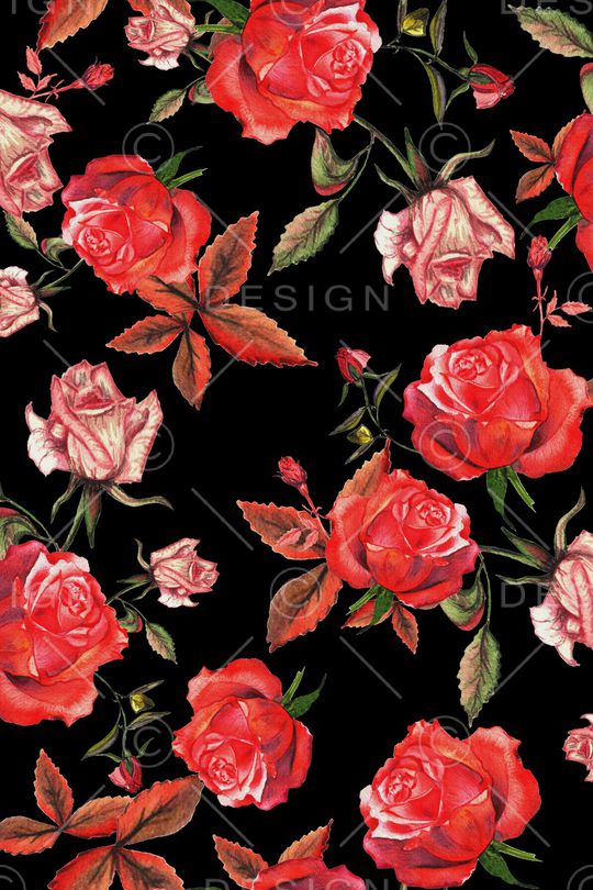 玫瑰花印花华亿平台图片