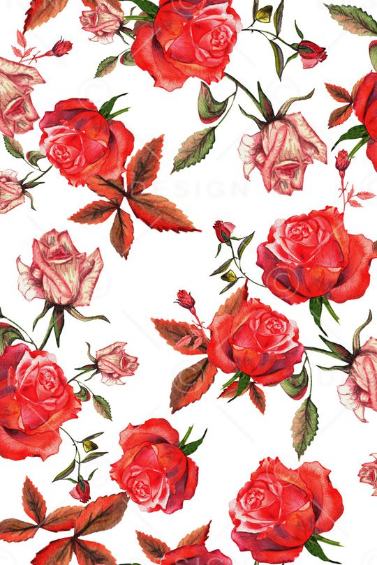 玫瑰花印花华亿平台图片