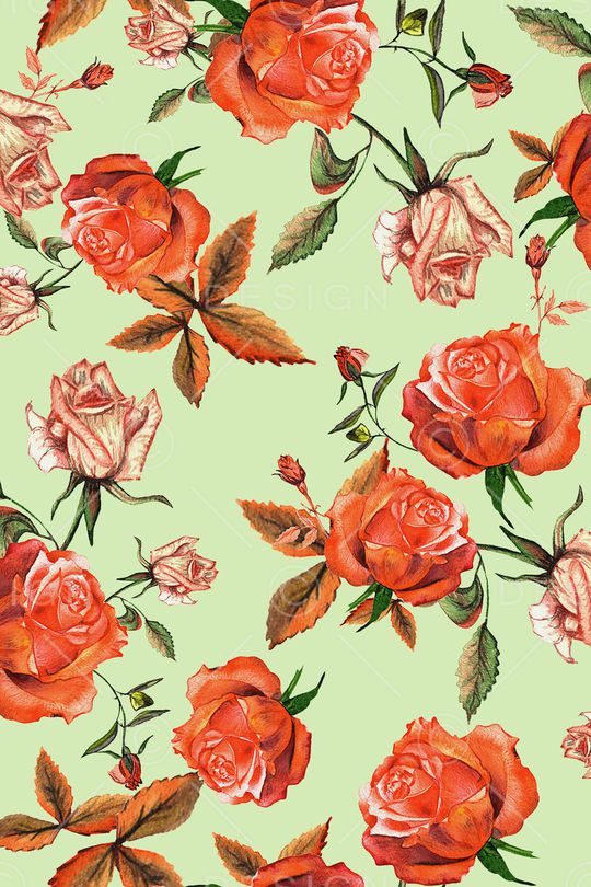 玫瑰花印花华亿平台图片