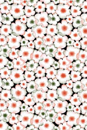 女装印花华亿平台图片