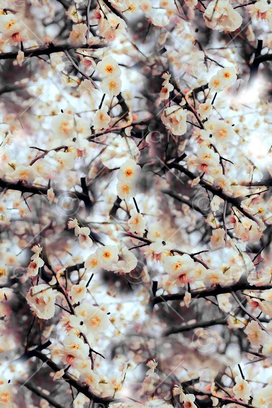 旗袍印花华亿平台图片