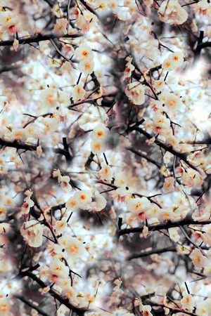 旗袍印花华亿平台图片