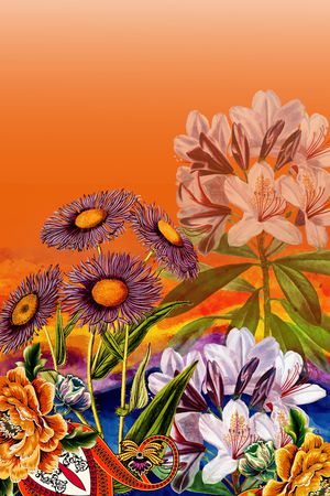 数码华亿平台印花华亿平台图片