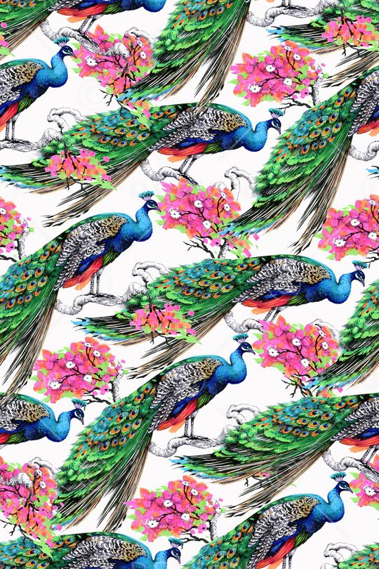 羽毛印花华亿平台图片