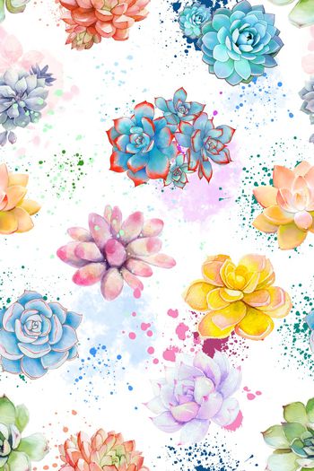 1343440-清新多肉