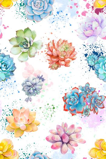 1343441-清新多肉-ok