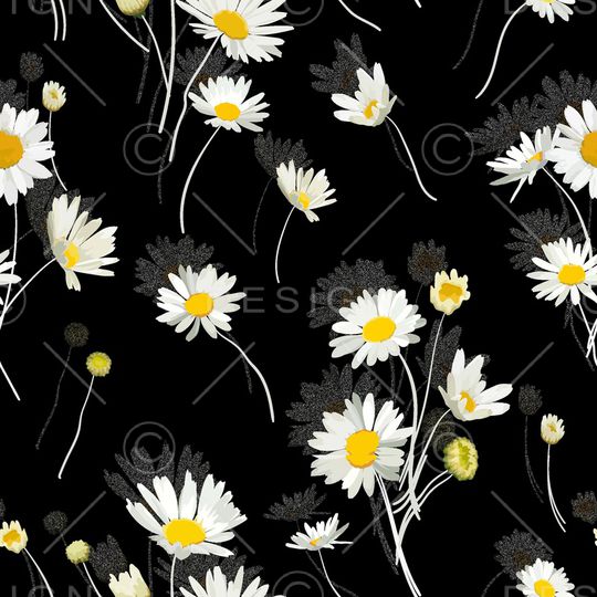 小雏菊印花华亿平台图片