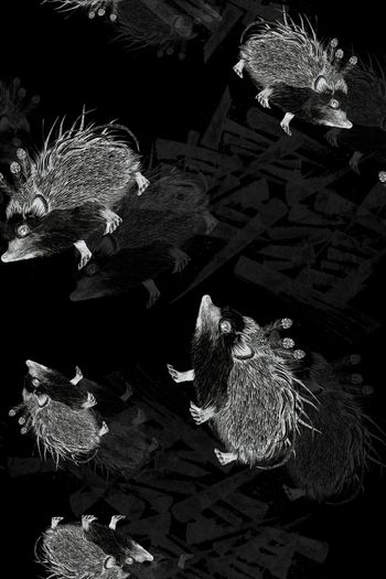 大牌男装印花华亿平台图片