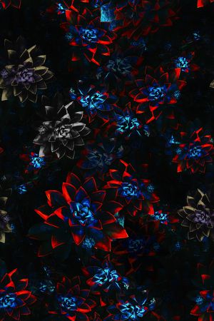 彩底花卉印花华亿平台图片