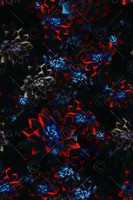 彩底花卉印花华亿平台图片