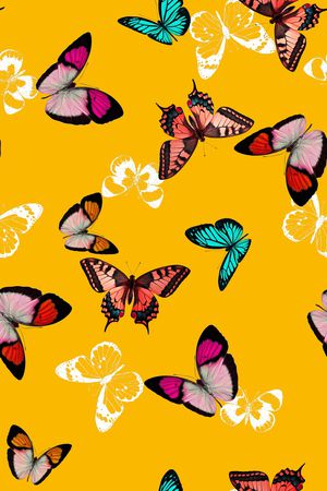 花卉蝴蝶印花华亿平台图片