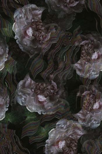 唯美花朵印花华亿平台图片