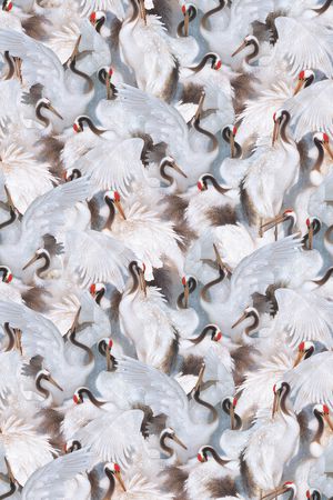 动物印花华亿平台图片