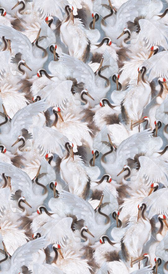 动物印花华亿平台图片