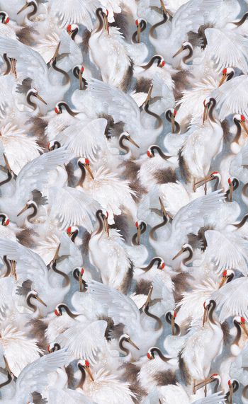 动物印花华亿平台图片