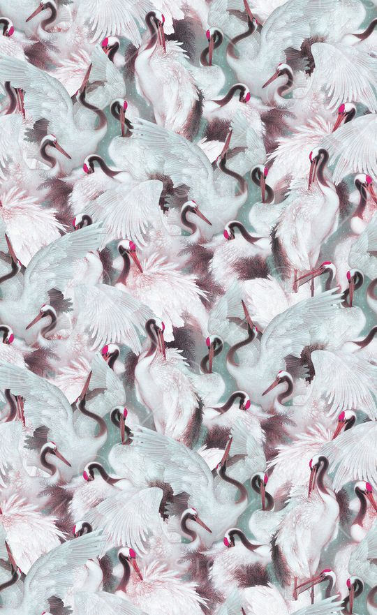 动物印花华亿平台图片