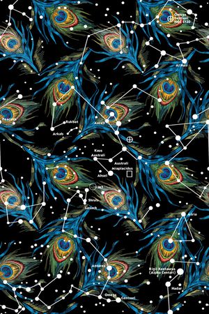 羽毛印花华亿平台图片