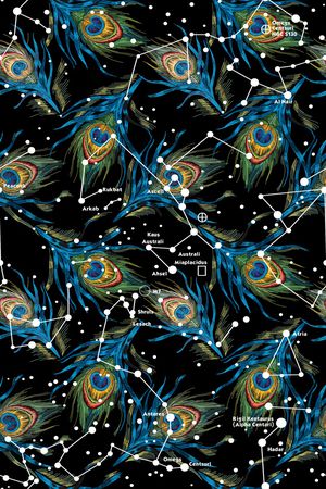 羽毛印花华亿平台图片