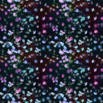 1346680-彩色水母