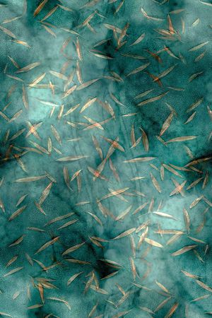 绿植树叶印花华亿平台图片