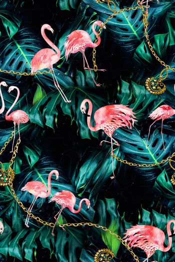 1347072-火烈鸟-ok