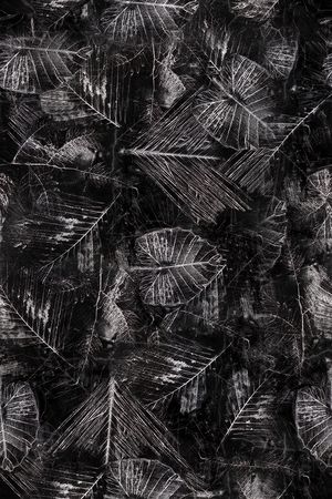 线条印花华亿平台图片