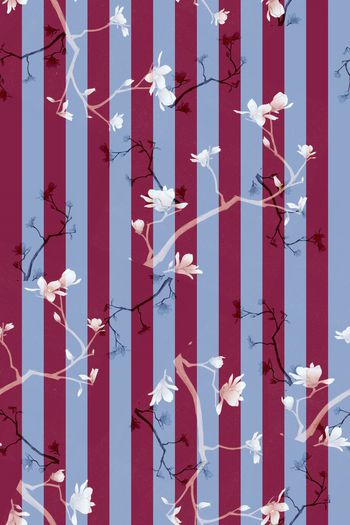 1347840-条纹百合-红