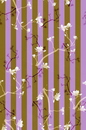 1347841-条纹百合-灰