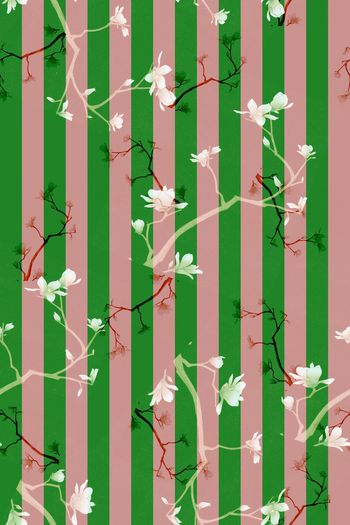 1347843-条纹百合-绿