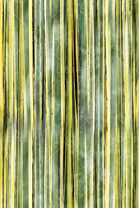 线条印花华亿平台图片