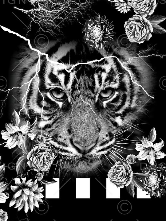 黑白华亿平台印花华亿平台图片